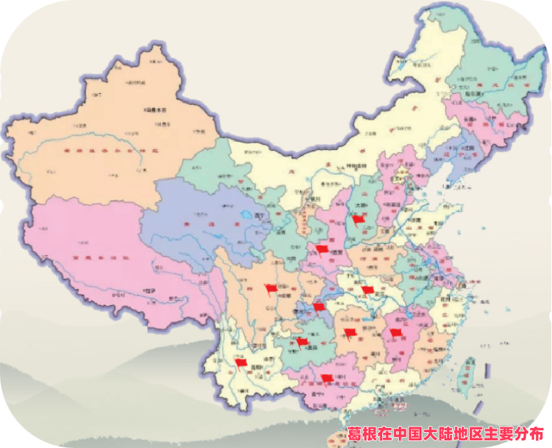 葛根的分布_副本.png