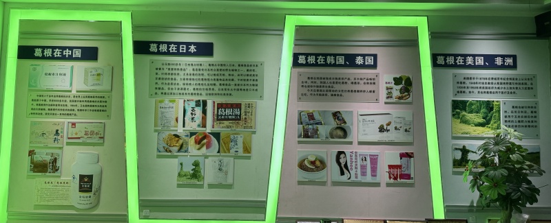 葛根在全球的應(yīng)用.jpg