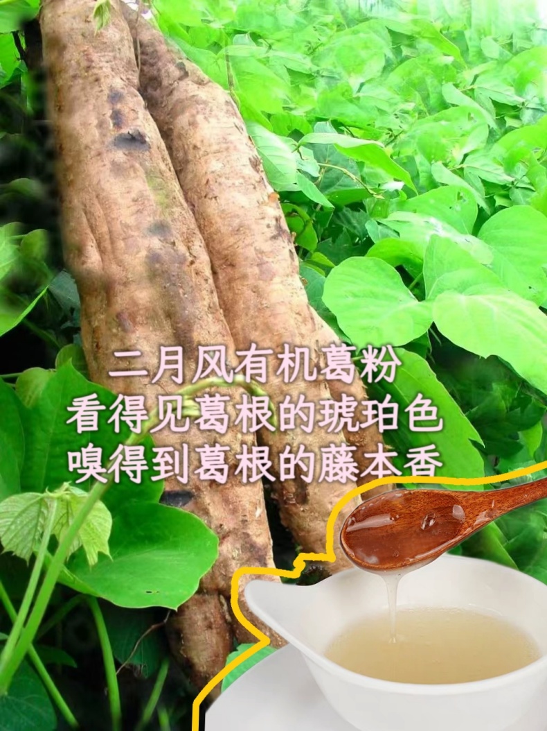 二月風(fēng)有機葛粉，看得見葛根的琥珀色，嗅得到葛根的藤本香_790.jpg