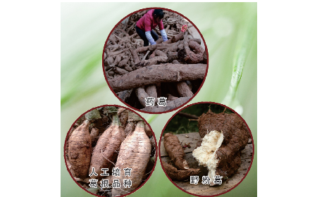 買葛粉是買野生的好？還是野生有機的好？