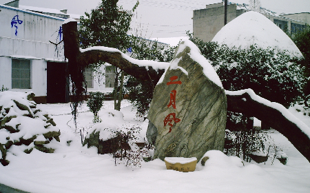 二月風(fēng)致老友：一碗葛根粉的牽掛，農(nóng)博會(huì)上的重逢之約二月風(fēng)盼老友：農(nóng)博會(huì)上，再續(xù)葛粉情緣